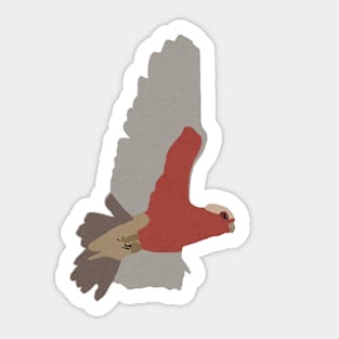 Galah Bird Art No.1 Sticker